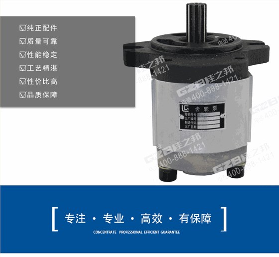 柳工挖機(jī)先導(dǎo)泵