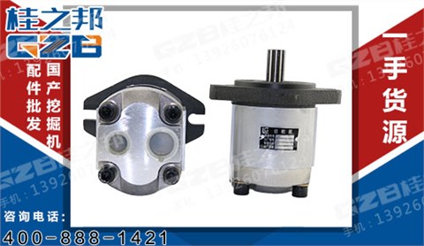 柳工挖掘機配件批發(fā) 發(fā)動機先導(dǎo)齒輪泵  11C0122