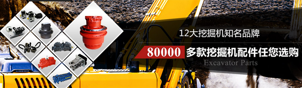 12大挖掘機(jī)有名品牌