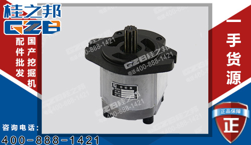柳工220挖掘機發(fā)動機先導(dǎo)齒輪泵11C0122 原裝挖掘機配件批發(fā)